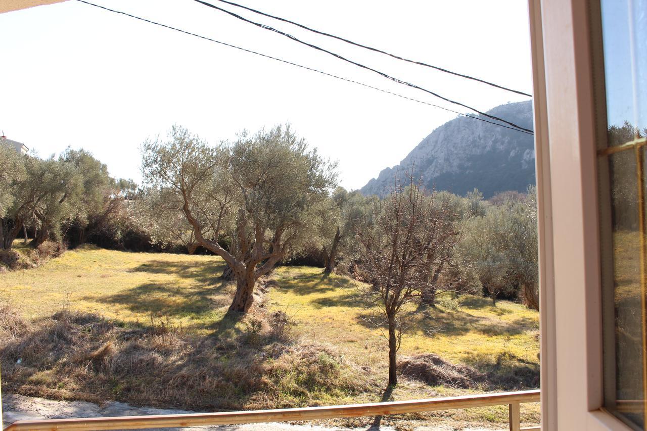 Apartments Todorovic Petrovac Екстериор снимка